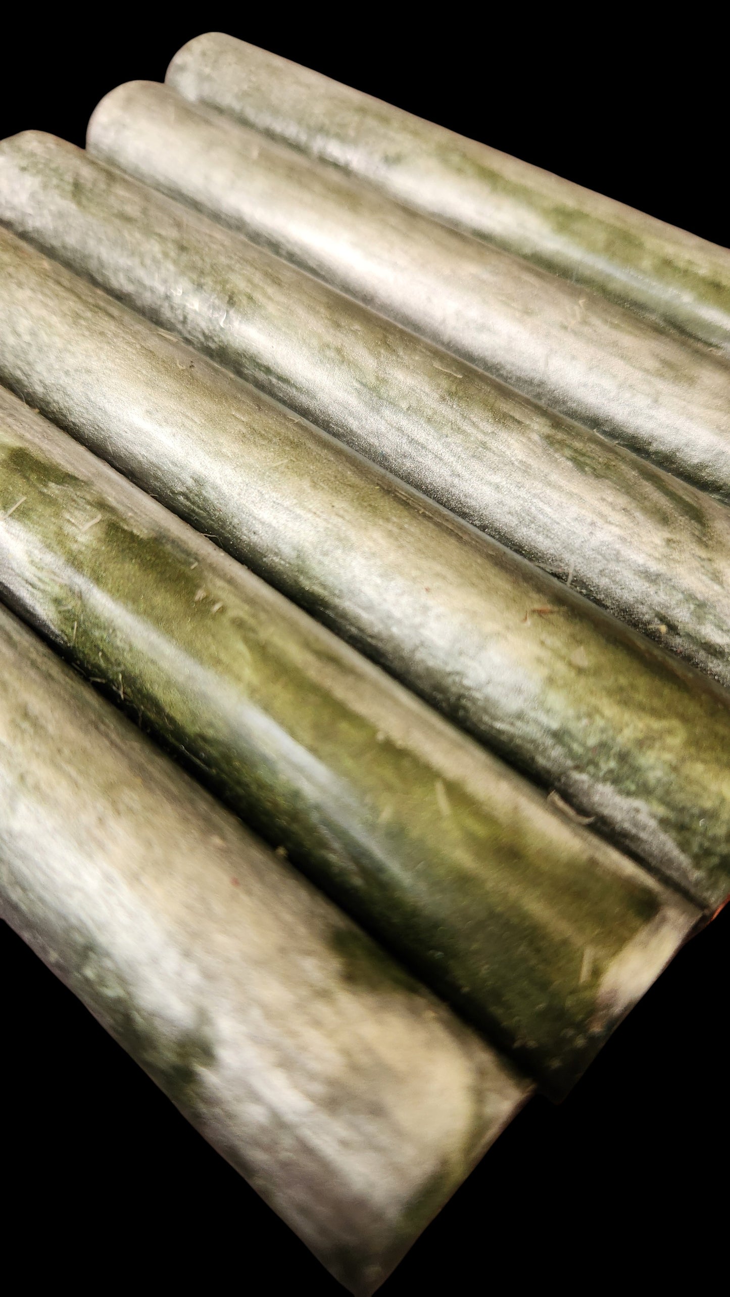 Enchanted Forest Blank