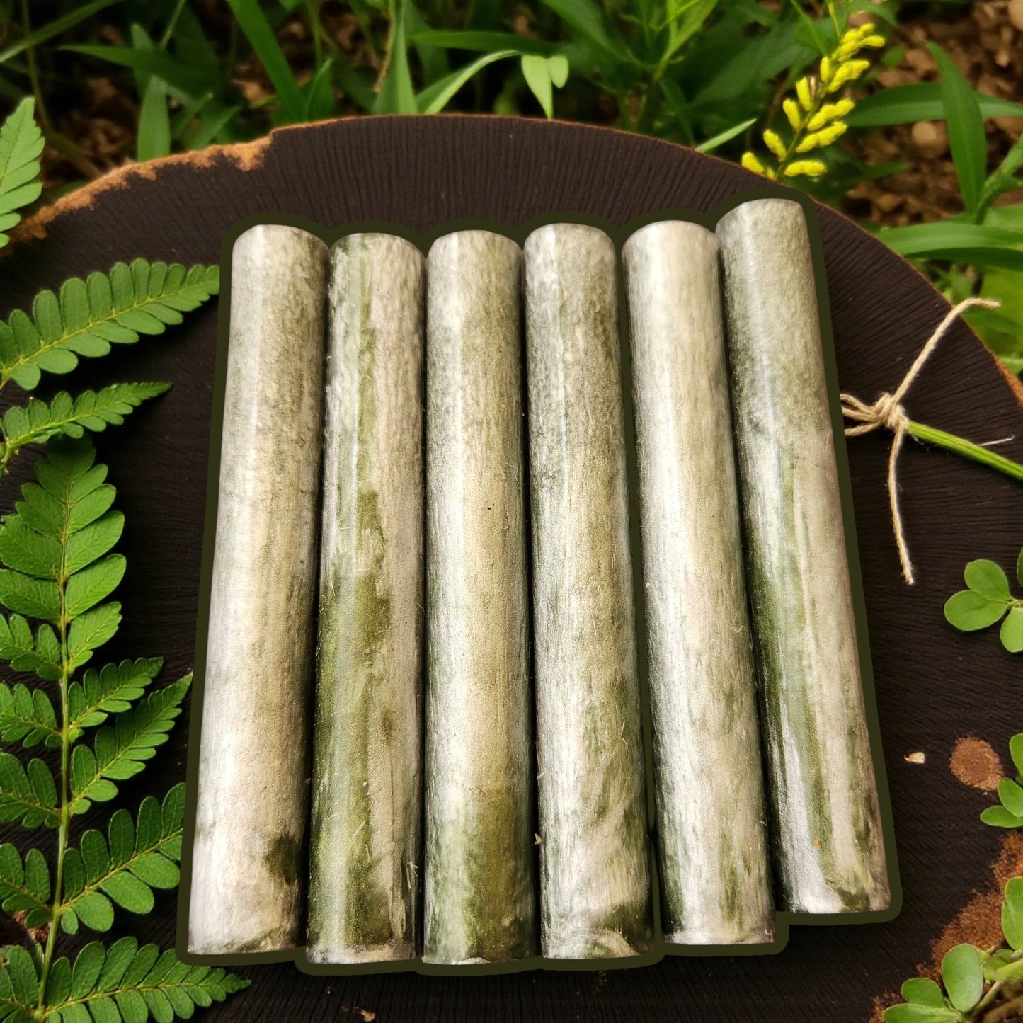 Enchanted Forest Blank