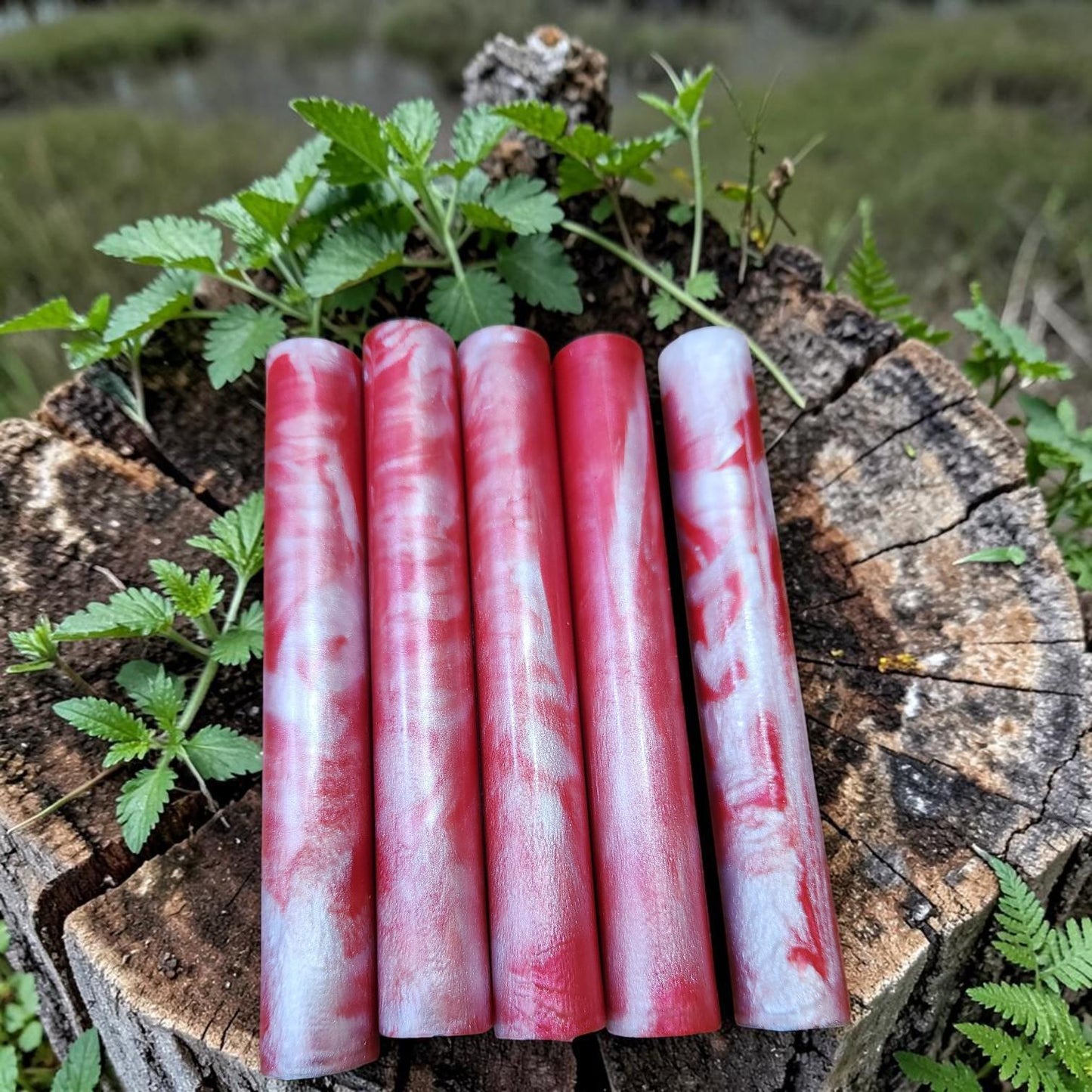 Strawberries and Cream Blank
