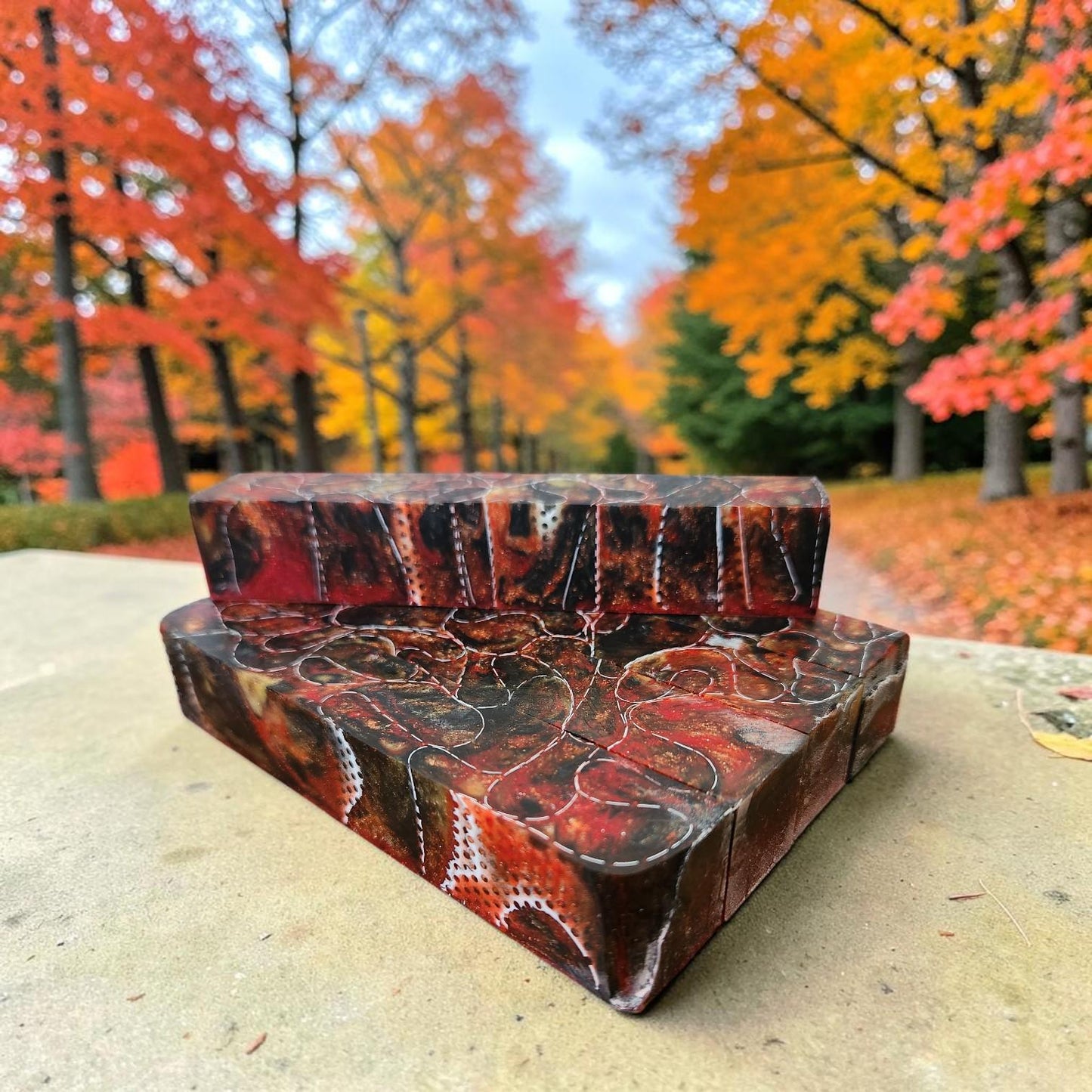 Fire Belly Snake Skin Blank